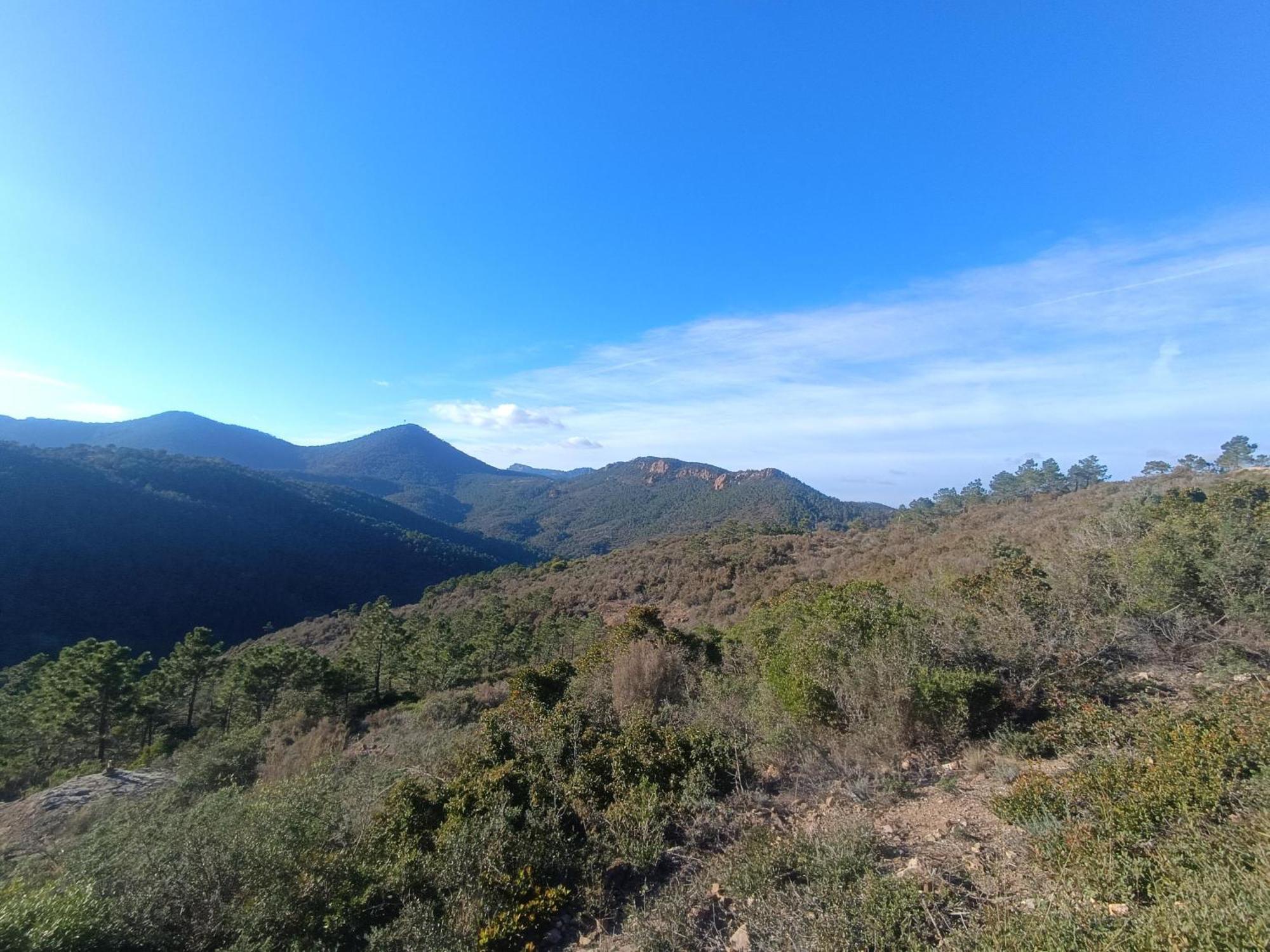 Magnifique Vue Mer Et Piscine - Les Cles De L Esterel Théoule-sur-Mer Esterno foto