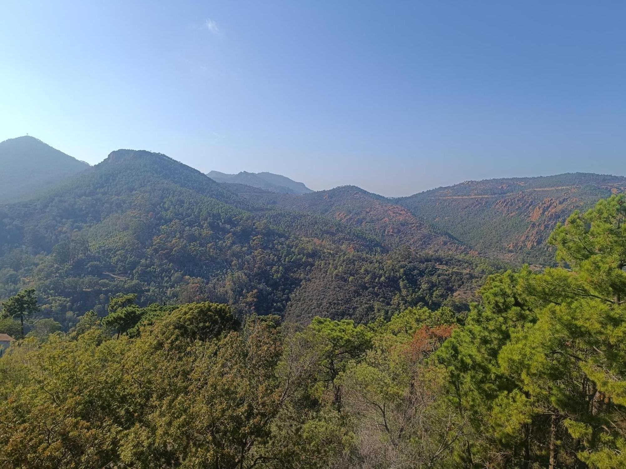 Magnifique Vue Mer Et Piscine - Les Cles De L Esterel Théoule-sur-Mer Esterno foto